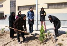 گزارش تصویری مراسم روز درخت کاری در دانشگاه  با حضور ورزشکاران ملی پوش شهرستان شاهرود  